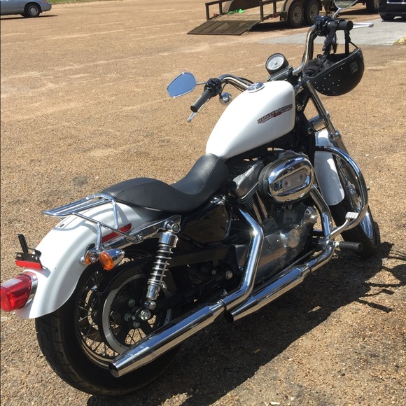 Meet your Posher, Jessie - Picture 5 of 6